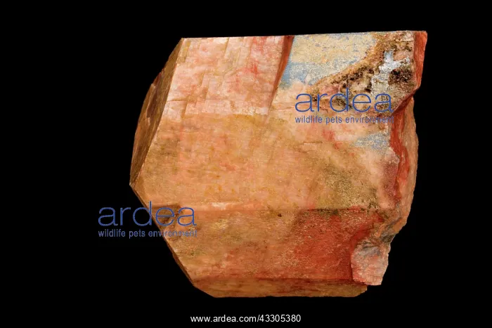 : Microcline Feldspar : Microcline Feldspar