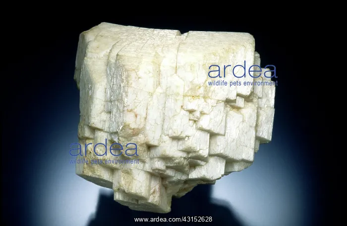 : Microcline From Idaho : Microcline From Idaho