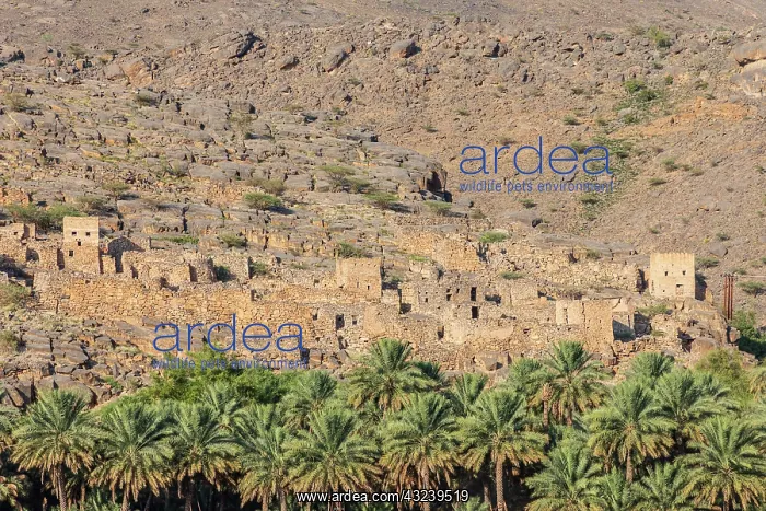: Middle East, Arabian Peninsula, Oman, Ad Dakhiliyah : Middle East, Arabian Peninsula, Oman, Ad Dakhiliyah
