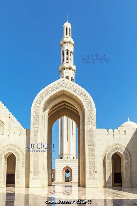 : Middle East, Arabian Peninsula, Oman, Muscat. Entrance : Middle East, Arabian Peninsula, Oman, Muscat. Entrance