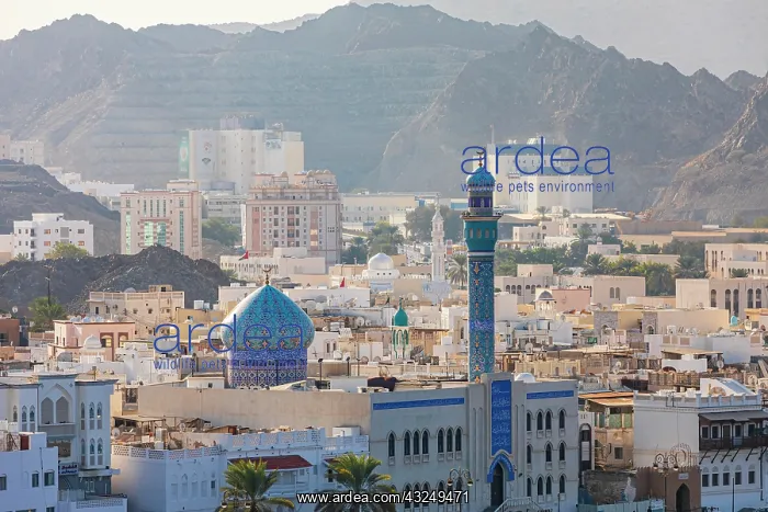 : Middle East, Arabian Peninsula, Oman, Muscat, Muttrah : Middle East, Arabian Peninsula, Oman, Muscat, Muttrah