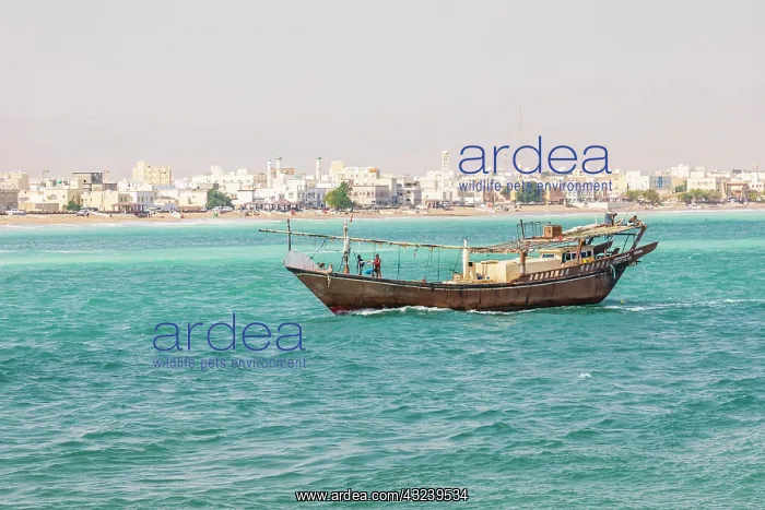 : Middle East, Arabian Peninsula, Al Batinah South : Middle East, Arabian Peninsula, Al Batinah South