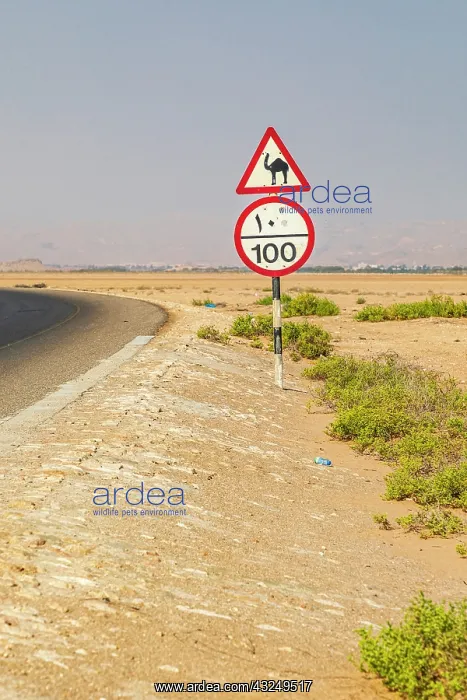 : Middle East, Arabian Peninsula, Al Batinah South : Middle East, Arabian Peninsula, Al Batinah South