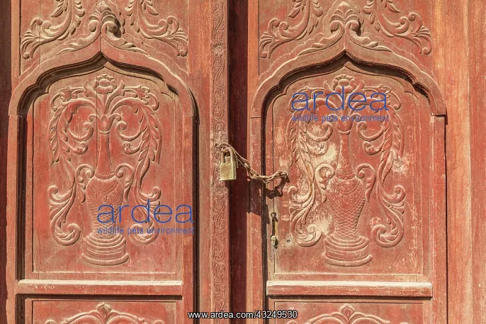 : Middle East, Arabian Peninsula, Al Batinah South : Middle East, Arabian Peninsula, Al Batinah South