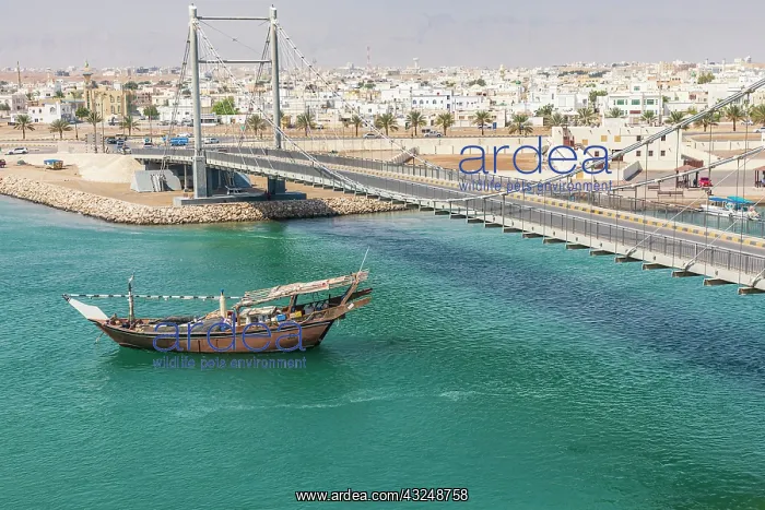 : Middle East, Arabian Peninsula, Oman, Al Batinah : Middle East, Arabian Peninsula, Oman, Al Batinah