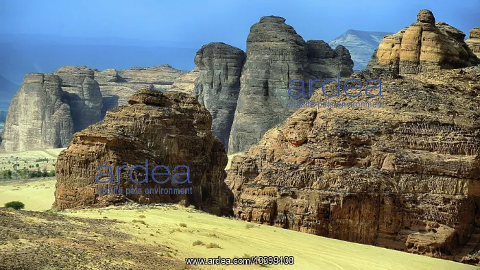 : Middle East, Saudi Arabia, Landscape in Al Ula : Middle East, Saudi Arabia, Landscape in Al Ula