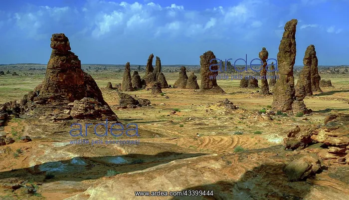 : Middle East, Saudi Arabia, Landscape in Al Ula : Middle East, Saudi Arabia, Landscape in Al Ula