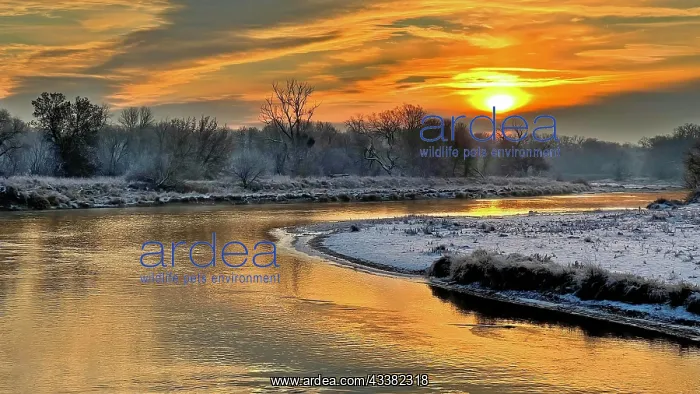 : Middle Elbe Biosphere Reserve, river bend, winter : Middle Elbe Biosphere Reserve, river bend, winter