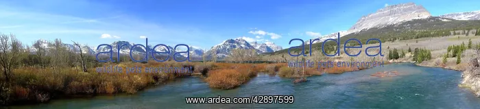 : Middle Fork flathead river. Glacier National Park : Middle Fork flathead river. Glacier National Park