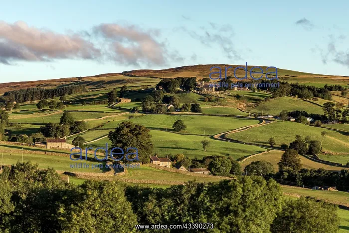 : Middlesmoor - Nidderdale - Yorkshire - UK : Middlesmoor - Nidderdale - Yorkshire - UK
