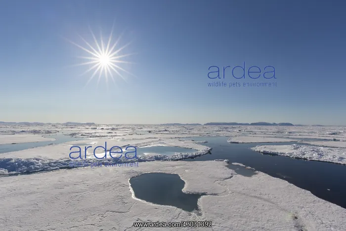 : Midnight sun over the Arctic ocean - Svalbard, Norway : Midnight sun over the Arctic ocean - Svalbard, Norway