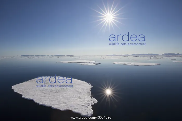 : Midnight sun over the Arctic ocean - Svalbard, Norway : Midnight sun over the Arctic ocean - Svalbard, Norway