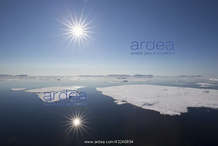 : Midnight sun over the Arctic ocean - Svalbard, Norway : Midnight sun over the Arctic ocean - Svalbard, Norway