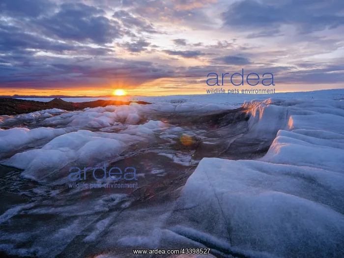 : Midnight sun on the ice sheet. The brown sediment : Midnight sun on the ice sheet. The brown sediment