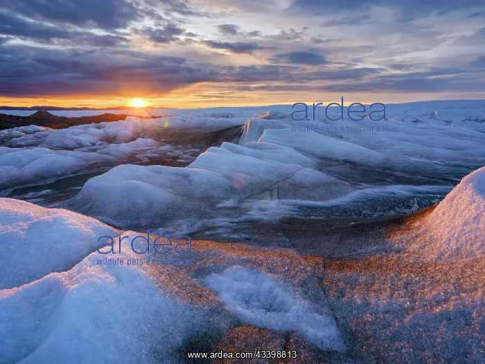 : Midnight sun on the ice sheet. The brown sediment : Midnight sun on the ice sheet. The brown sediment