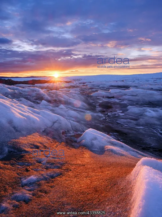 : Midnight sun on the ice sheet. The brown sediment : Midnight sun on the ice sheet. The brown sediment
