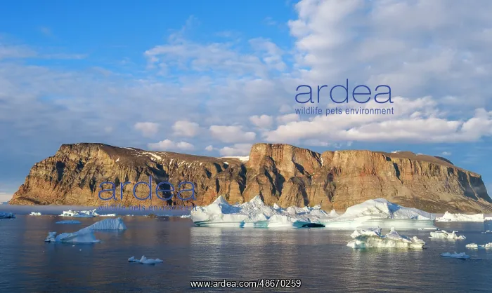  : Midnight sun at Storoen Island. Landscape in the Uummannaq