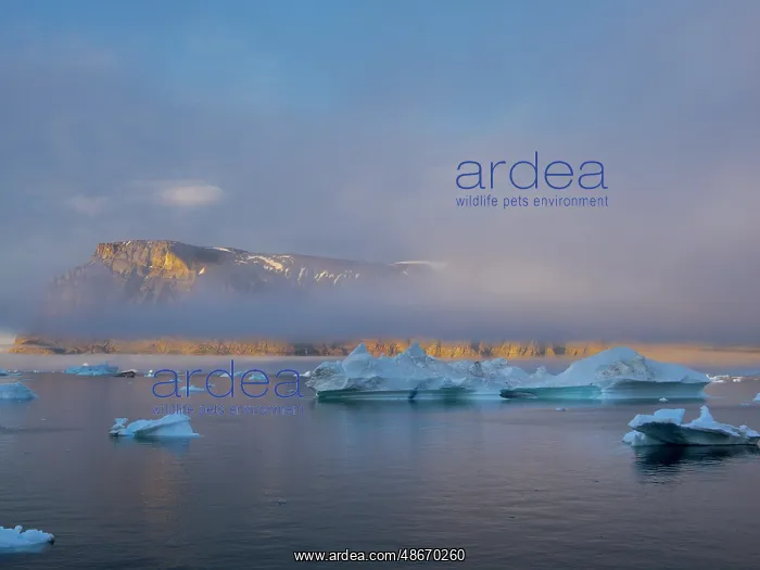  : Midnight sun at Storoen Island. Landscape in the Uummannaq