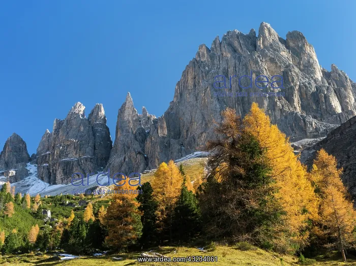 : The mighty Vajolet Towers of the Rosengarten : The mighty Vajolet Towers of the Rosengarten
