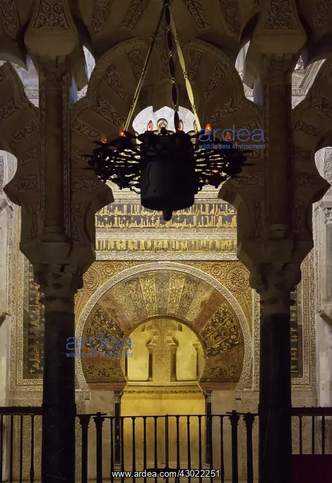 : The Mihrab (prayer niche in a Moorish mosque) : The Mihrab (prayer niche in a Moorish mosque)