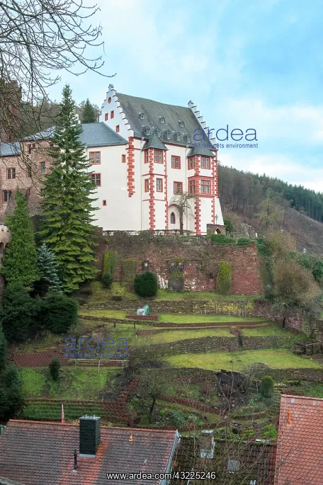 : Mildenburg Castle, Miltenberg, Germany : Mildenburg Castle, Miltenberg, Germany