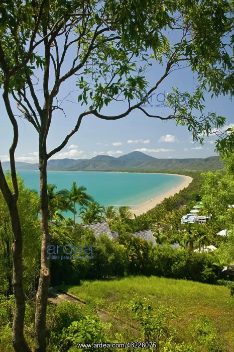 : Four Mile Beach and Trinity Bay view from : Four Mile Beach and Trinity Bay view from
