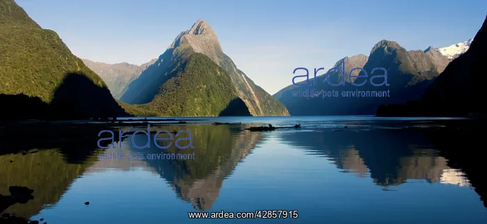 : Milford Sound - landmark Mitre Peak and surrounding : Milford Sound - landmark Mitre Peak and surrounding