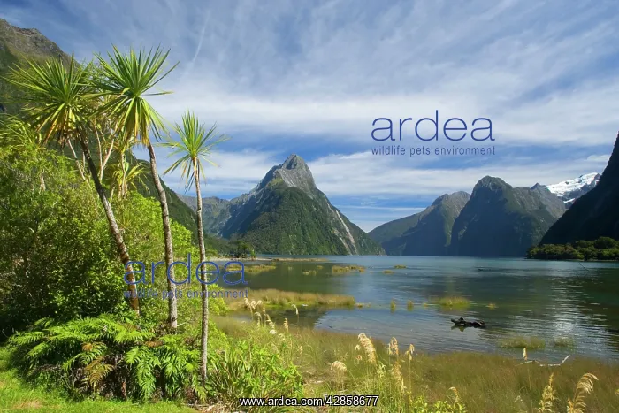  : Milford Sound - with landmark Mitre Peak and surrounding