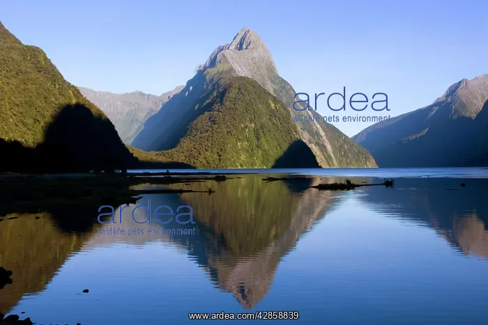 : Milford Sound - landmark Mitre Peak and surrounding : Milford Sound - landmark Mitre Peak and surrounding