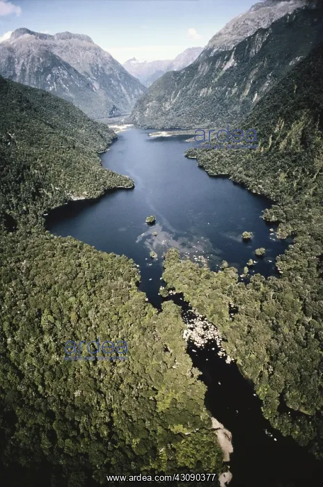 : Milford Sound, New Zealand : Milford Sound, New Zealand