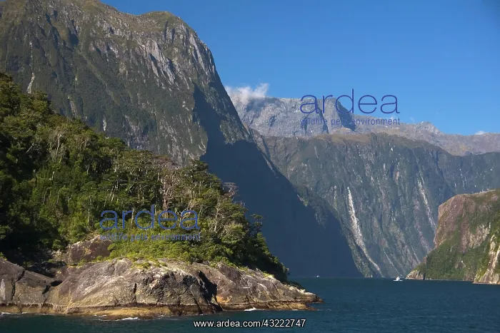 : Milford Sound, New Zealand. An afternoon : Milford Sound, New Zealand. An afternoon