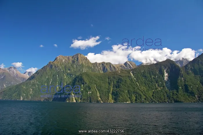 : Milford Sound, New Zealand. An afternoon : Milford Sound, New Zealand. An afternoon