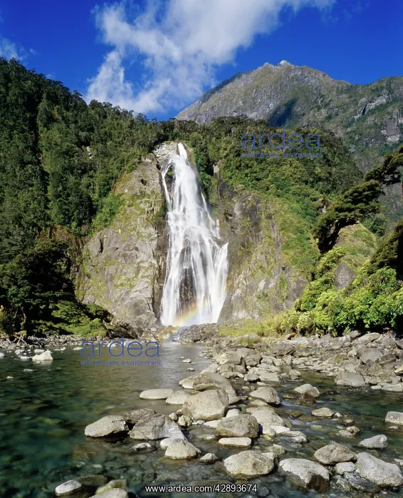 : MILFORD SOUND New Zealand - Bowen falls : MILFORD SOUND New Zealand - Bowen falls