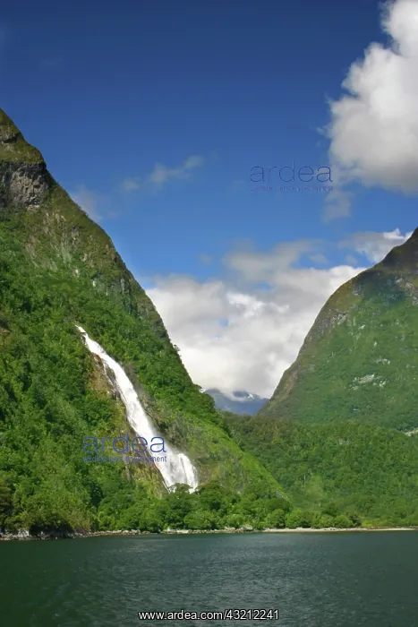 : Milford Sound, New Zealand. The majestic : Milford Sound, New Zealand. The majestic