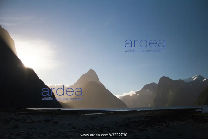 : Milford Sound, New Zealand. The pristine : Milford Sound, New Zealand. The pristine