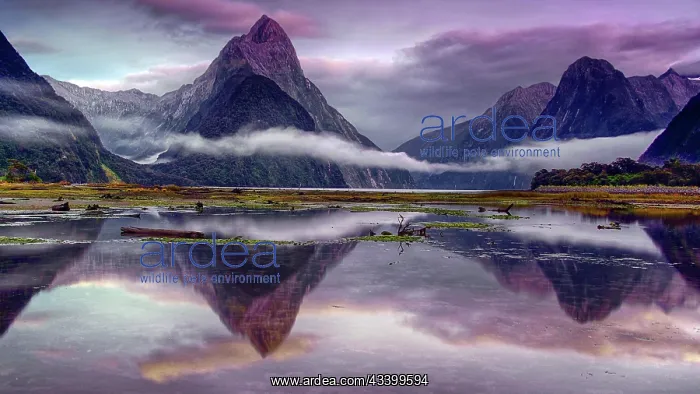 : Milford Sound on New Zealand's South Island, Milford : Milford Sound on New Zealand's South Island, Milford