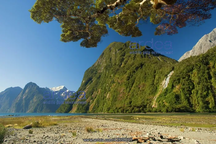 : Milford Sound - with waterfalls and surrounding : Milford Sound - with waterfalls and surrounding
