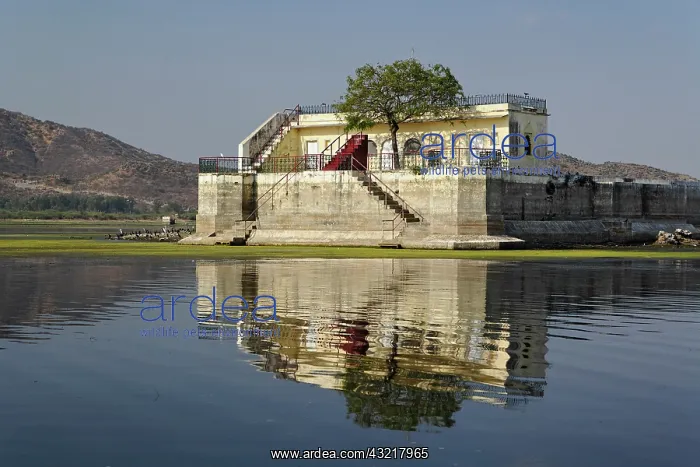 : Military building, Lake Pichola, Udaipur : Military building, Lake Pichola, Udaipur