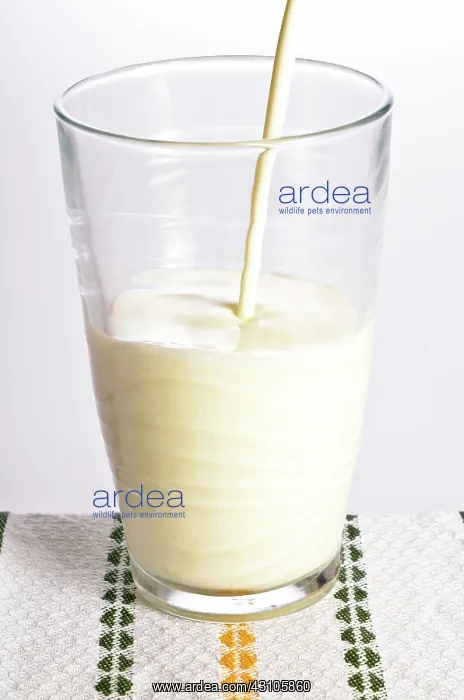  : Milk being poured into a glass