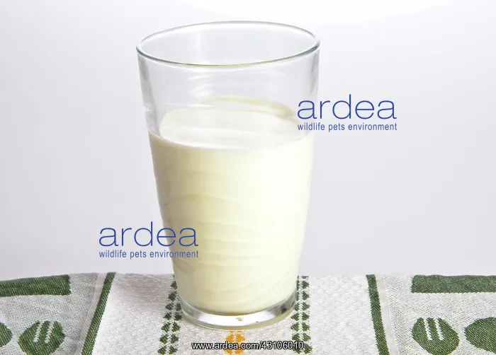  : Milk being poured into a glass