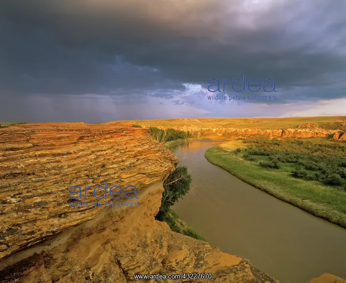 : The Milk River runs through badlands of : The Milk River runs through badlands of