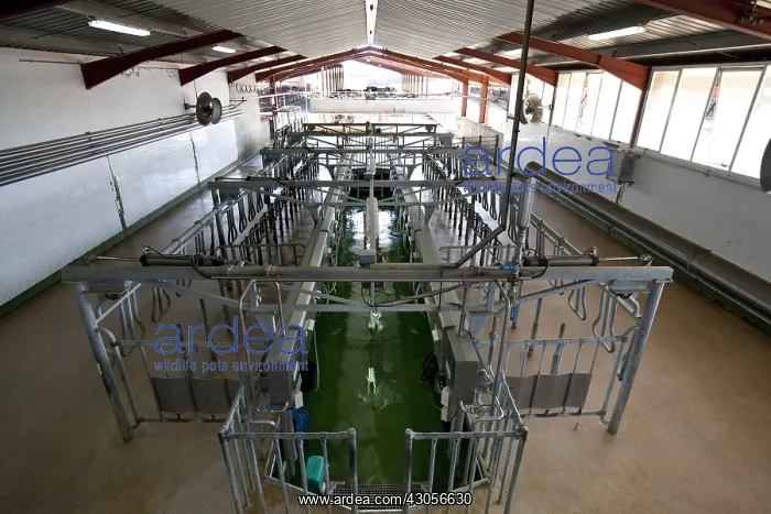 : Milking cows empty Ventosilla farm Spain : Milking cows empty Ventosilla farm Spain