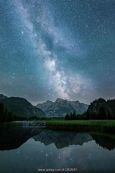 : Milky Way over Almsee, Reflection, Totes Gebirge : Milky Way over Almsee, Reflection, Totes Gebirge