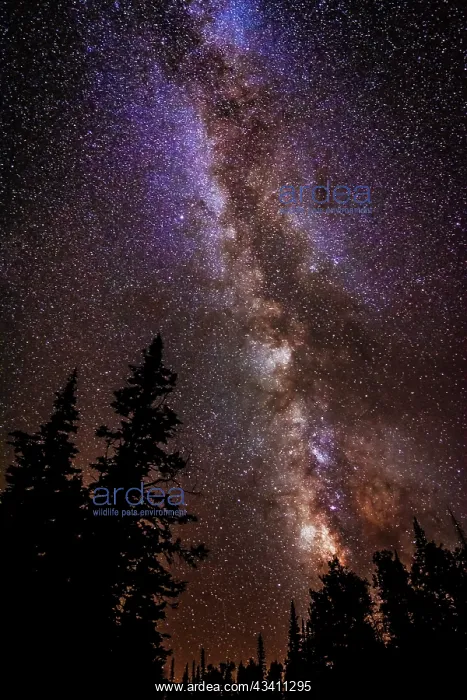 : Milky Way over Cedar Breaks National Monument, Utah, USA : Milky Way over Cedar Breaks National Monument, Utah, USA