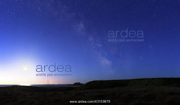 : The Milky Way is fading gradually in the sky that : The Milky Way is fading gradually in the sky that