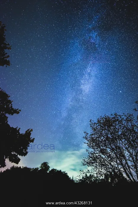  : Milky Way and - Italy