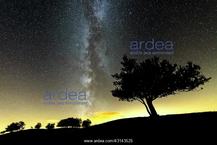: The Milky Way in the Jura sky, Crest Colombier : The Milky Way in the Jura sky, Crest Colombier