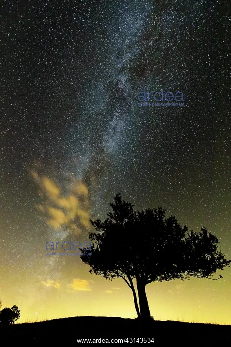 : The Milky Way in the Jura sky, Crest Colombier : The Milky Way in the Jura sky, Crest Colombier