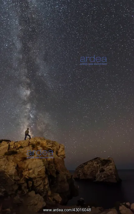 : Milky Way with man standing on the edge : Milky Way with man standing on the edge