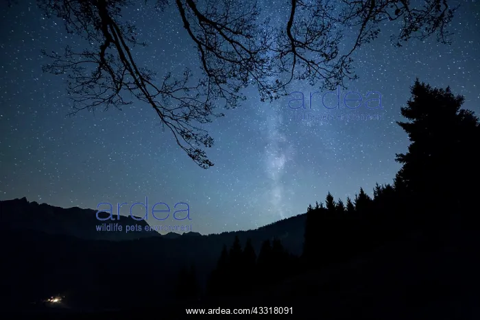 : Milky Way over the mountains and forest at Schw&, x49e1;lp : Milky Way over the mountains and forest at Schw&, x49e1;lp